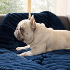 Pet Blanket product image 18