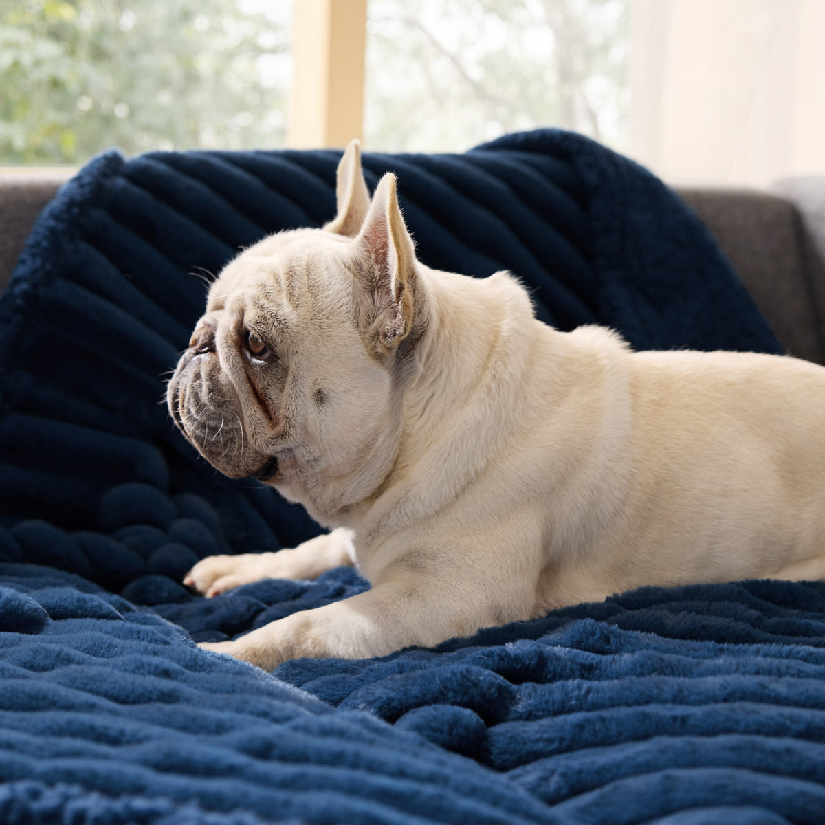 Pet Blanket product image 18