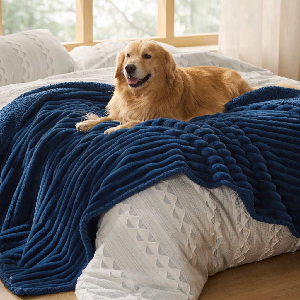 Pet Blanket product image 19