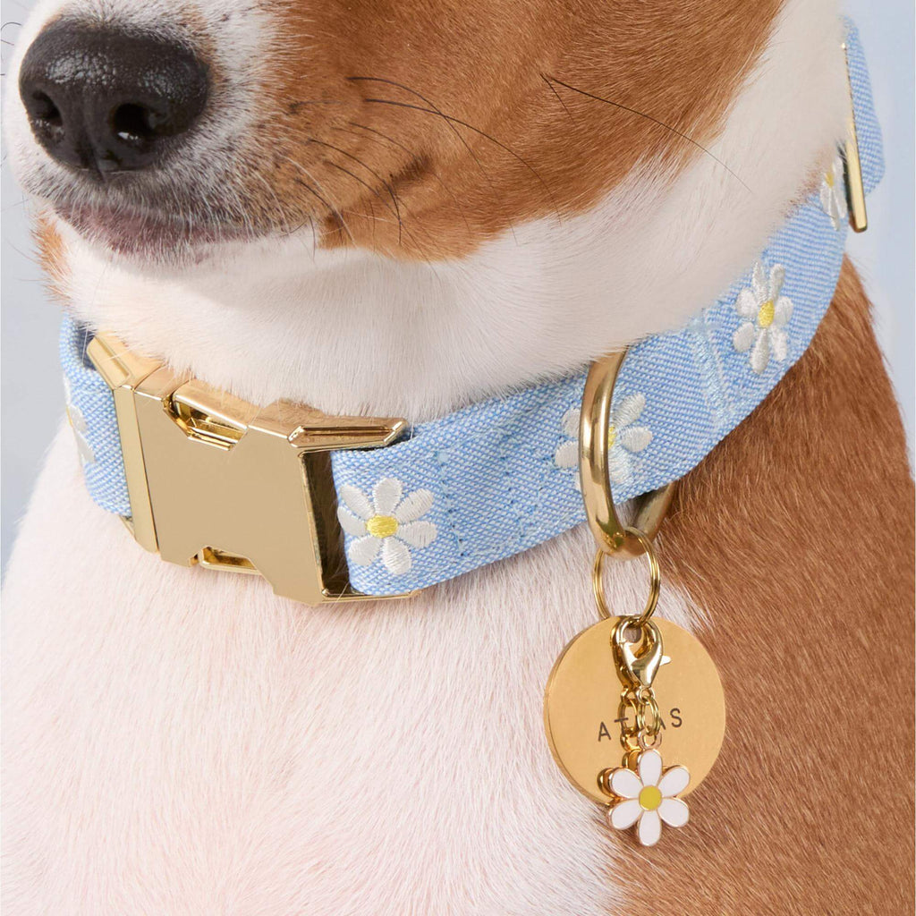 Dog Collar product image 5