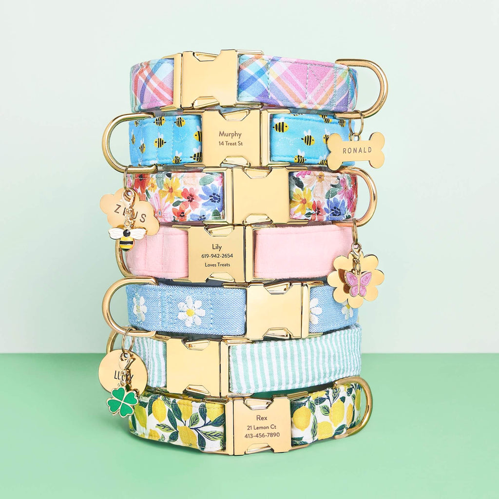 Dog Collar product image 8