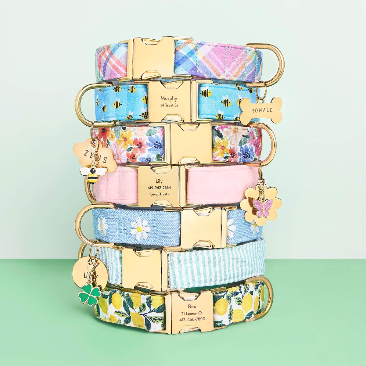 Dog Collar product image 8