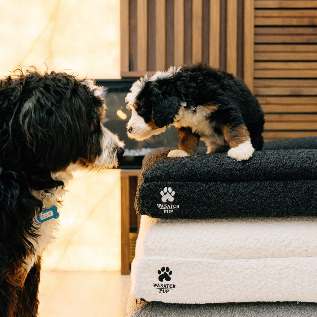 Orthopedic Dog Bed product image 6