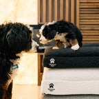 Orthopedic Dog Bed product image 6