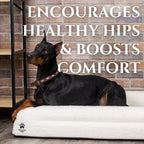 Orthopedic Dog Bed product image 7