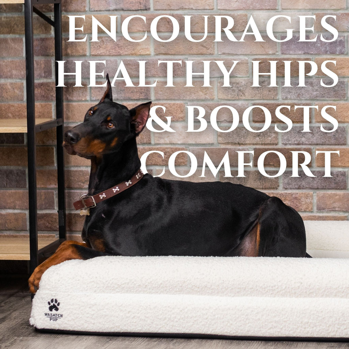 Orthopedic Dog Bed product image 7