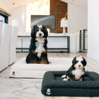 Orthopedic Dog Bed product image 8