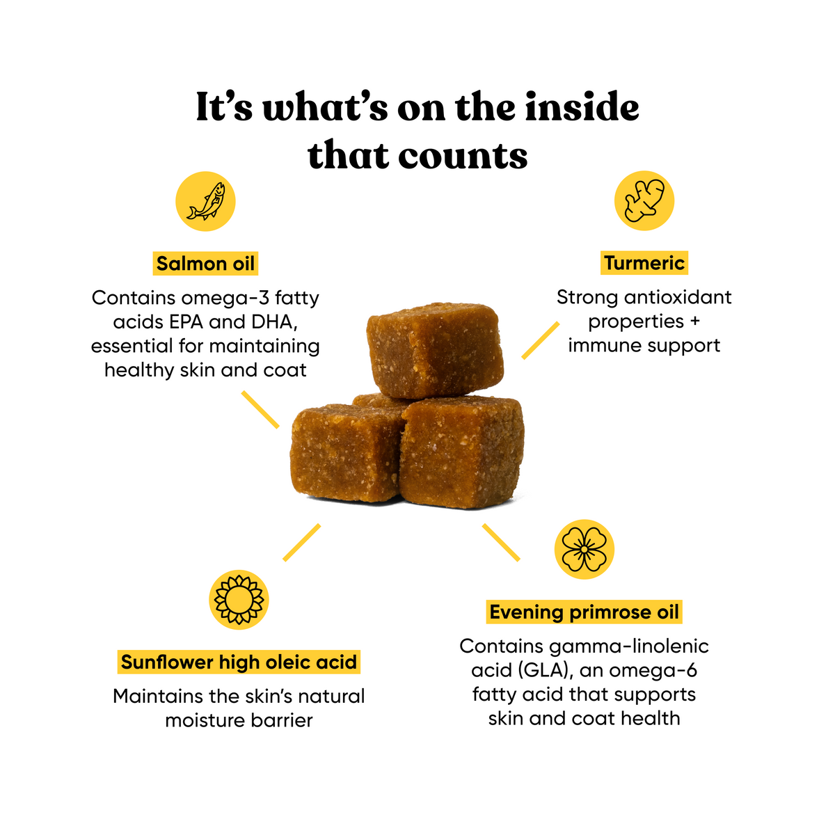 Dog Skin & Coat Supplement product image 3