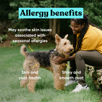 Dog Skin & Coat Supplement product image 4