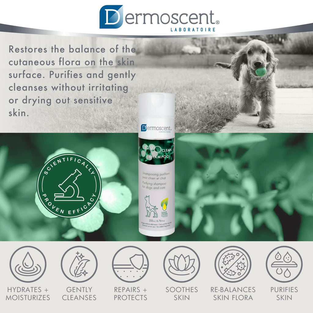 Pet Shampoo product image 8