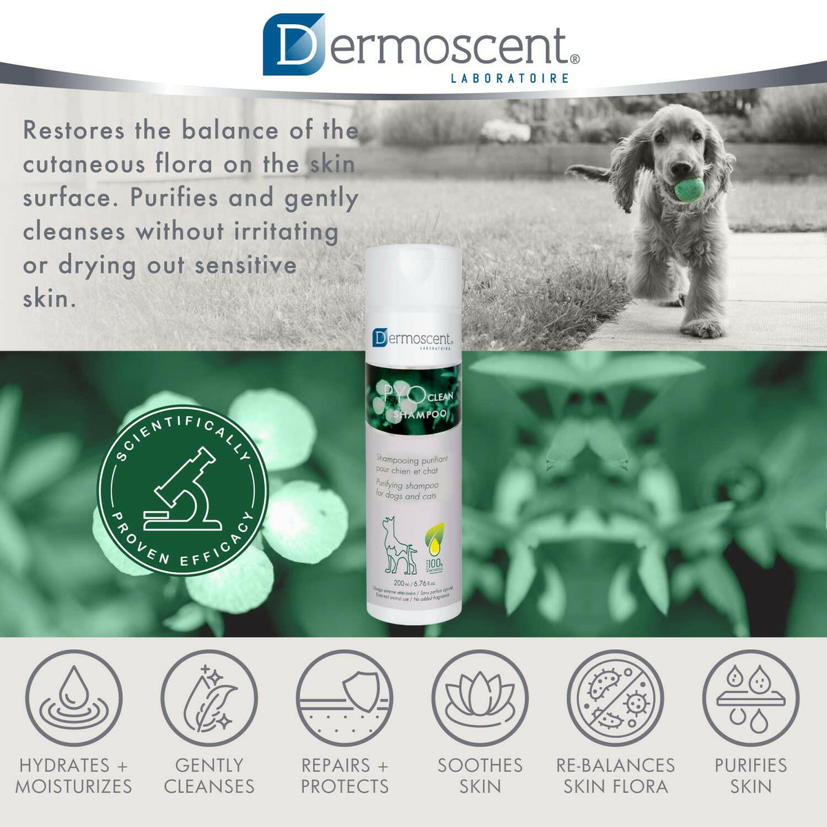 Pet Shampoo product image 8