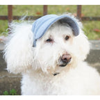 Pet Sunhat product image 8