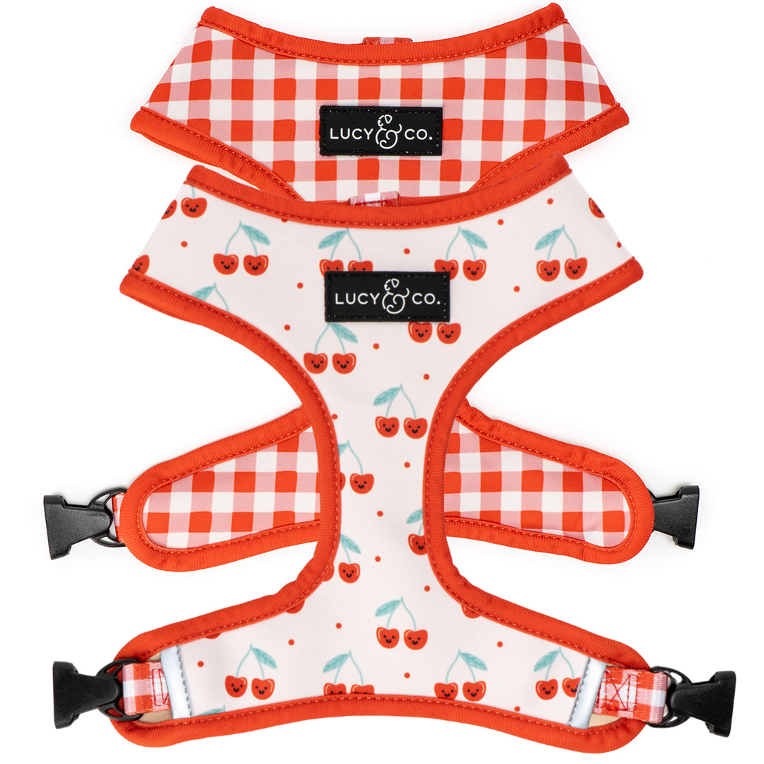 Reversible Dog Harness product image 1