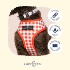 Reversible Dog Harness product image 6