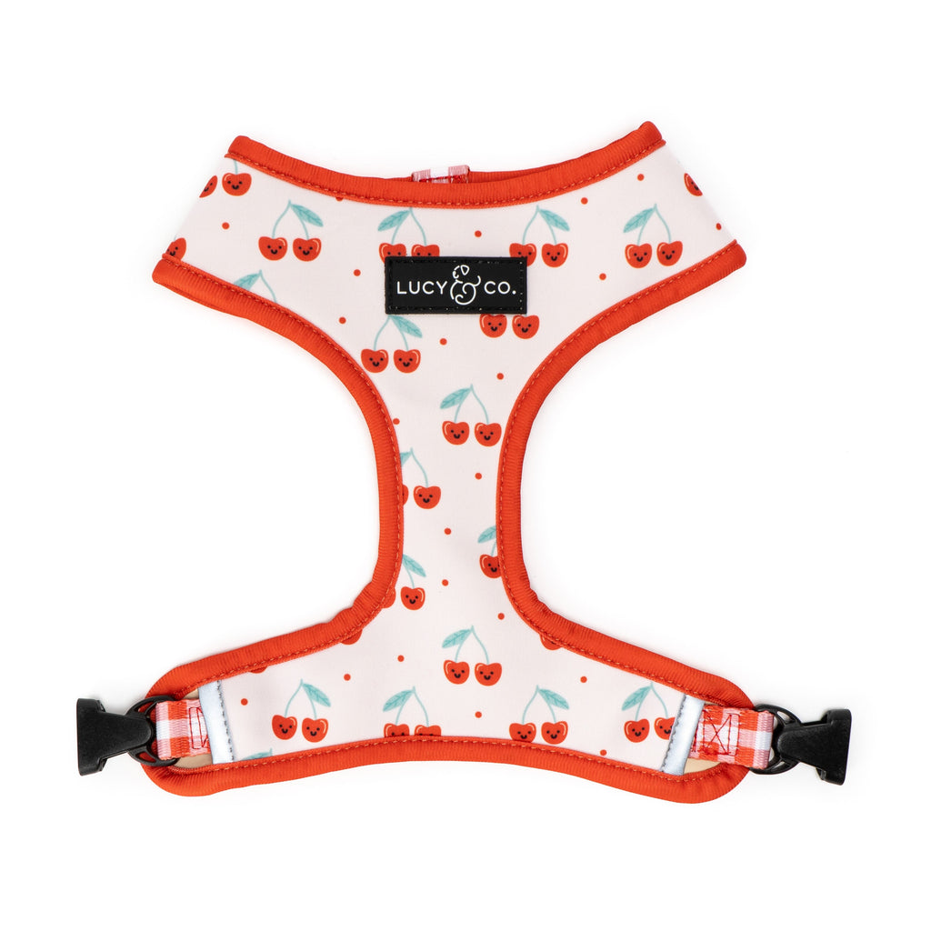 Reversible Dog Harness product image 7