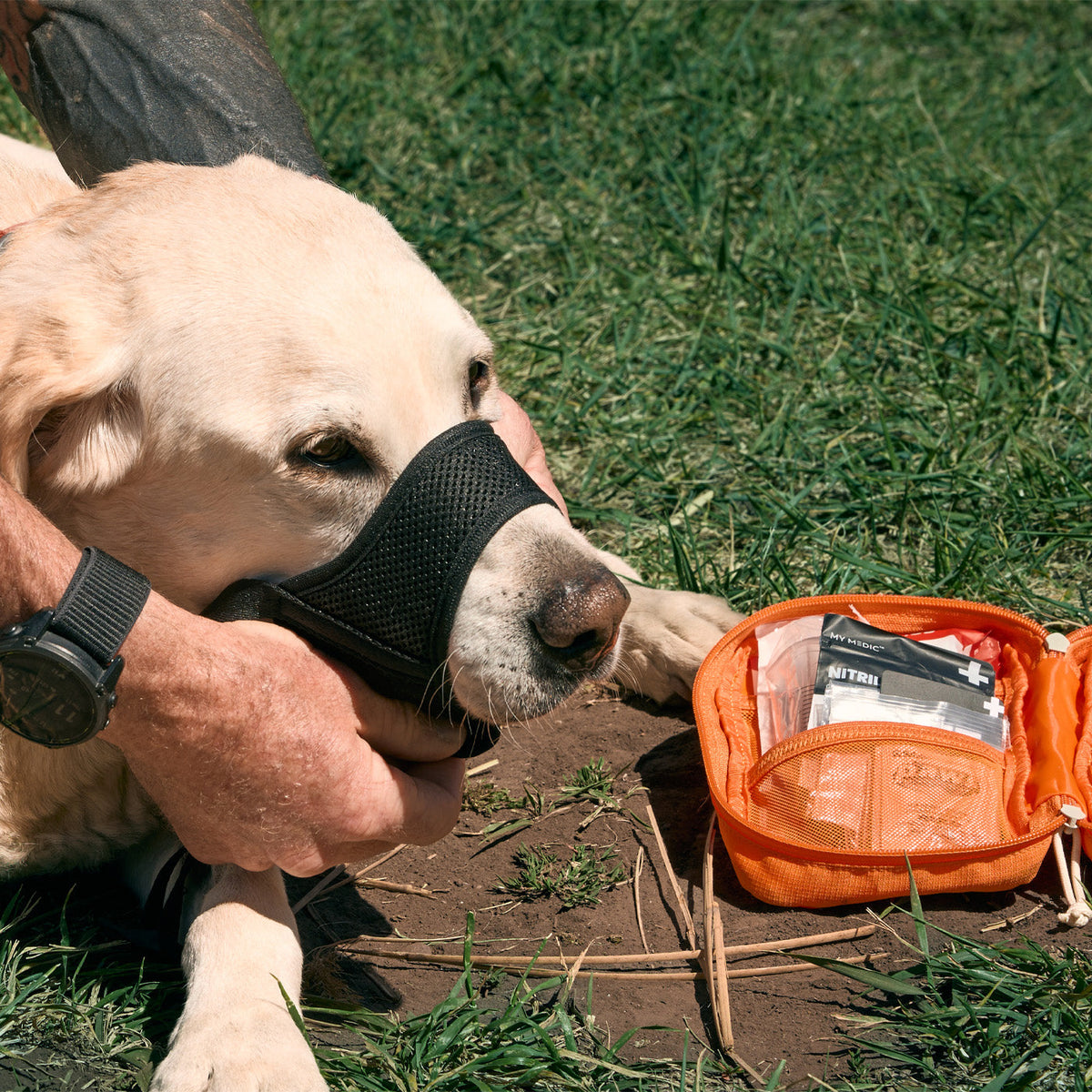 Pet First Aid Kit product image 4