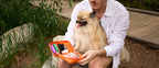 Pet First Aid Kit product image 12