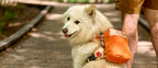 Pet First Aid Kit product image 13