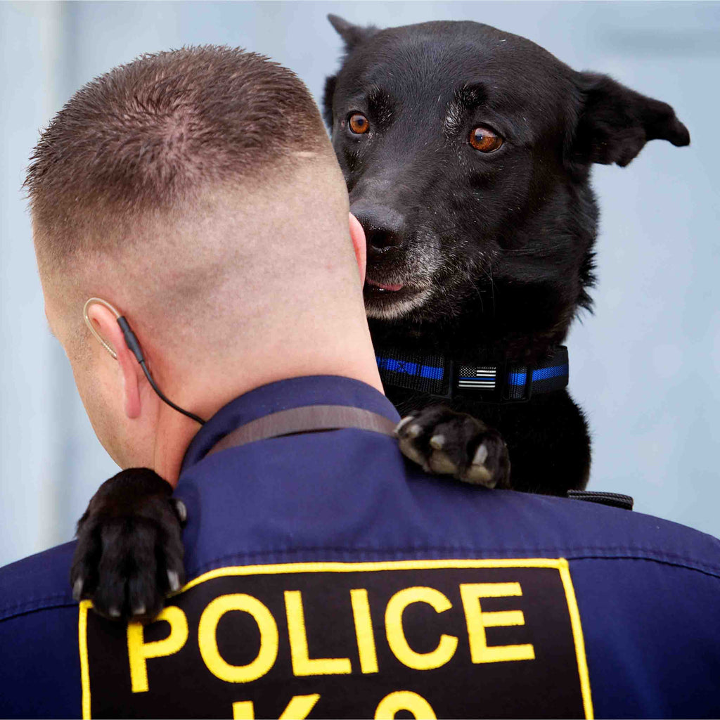 Thin Blue Line Dog Collar product image 5