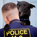 Thin Blue Line Dog Collar product image 5