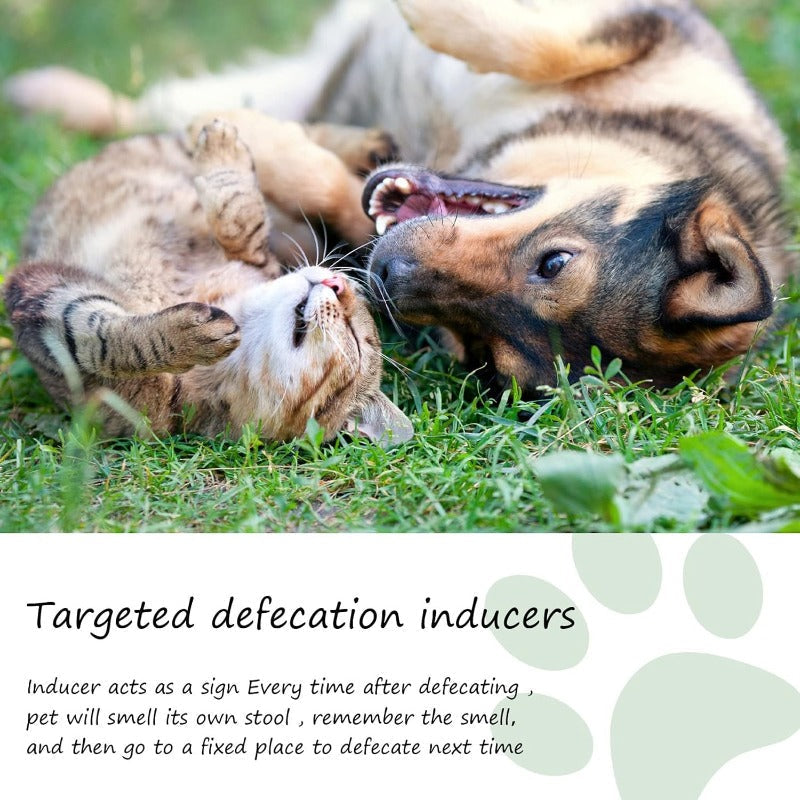 Puppy Potty Training Spray product image 3