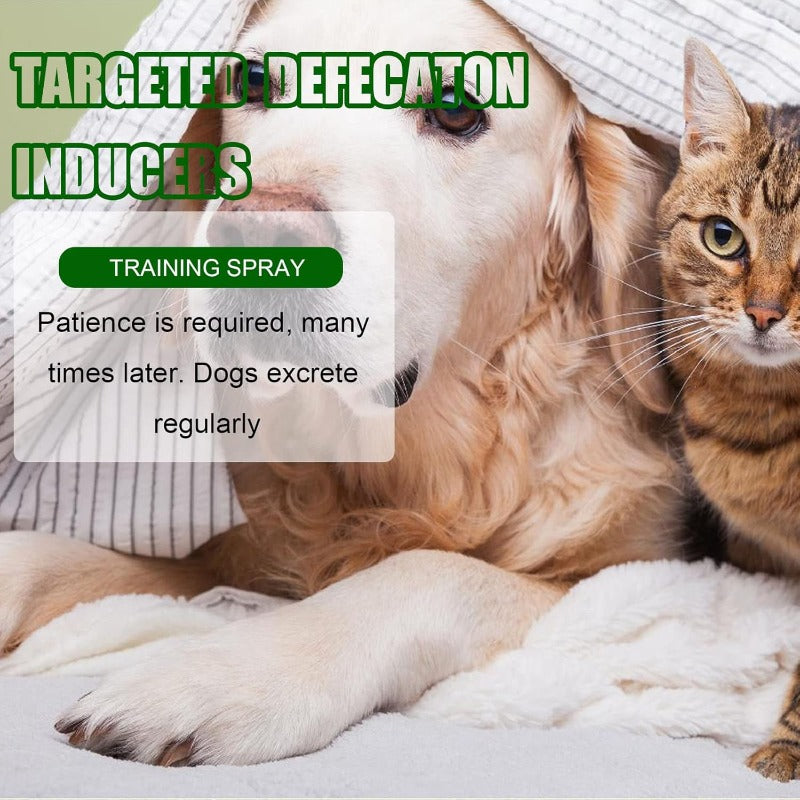 Puppy Potty Training Spray product image 4