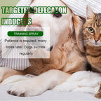 Puppy Potty Training Spray product image 4