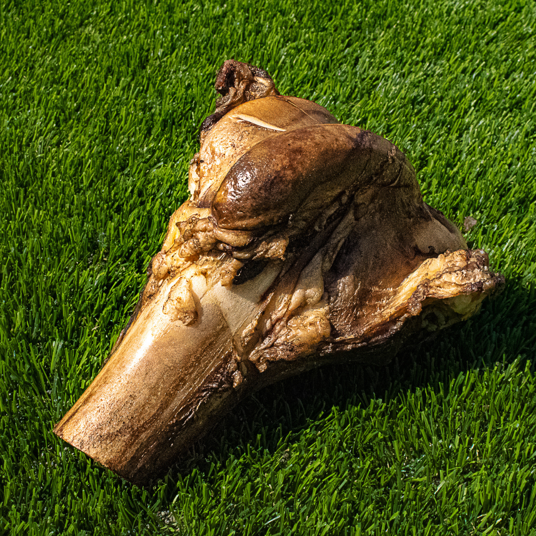 Beef Marrow Bone product image 1