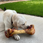 Giant Beef Marrow Dog Bone For Large Dogs
