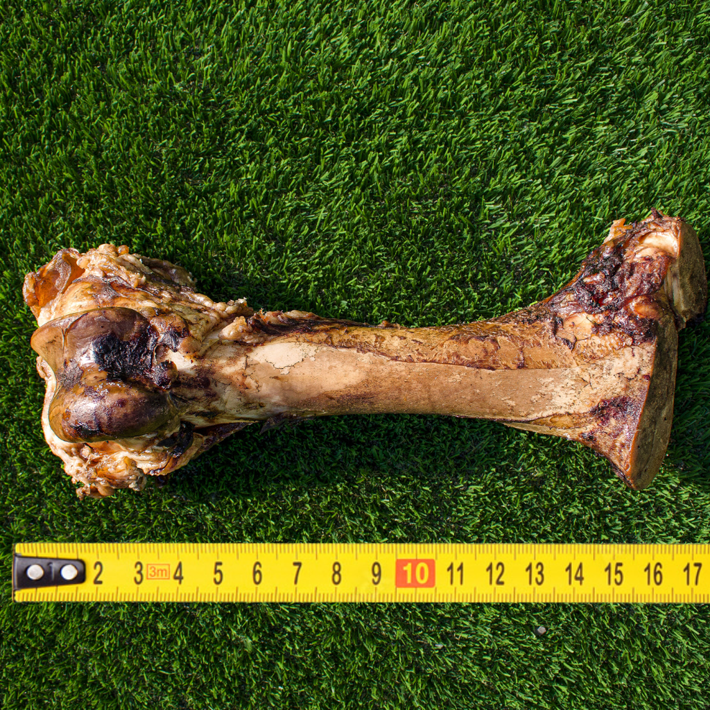 Giant Beef Marrow Dog Bone For Large Dogs
