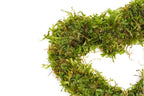 Aquarium Plant Decor product image 3