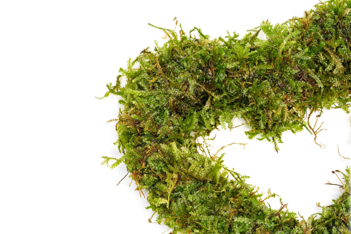 Aquarium Plant Decor product image 3
