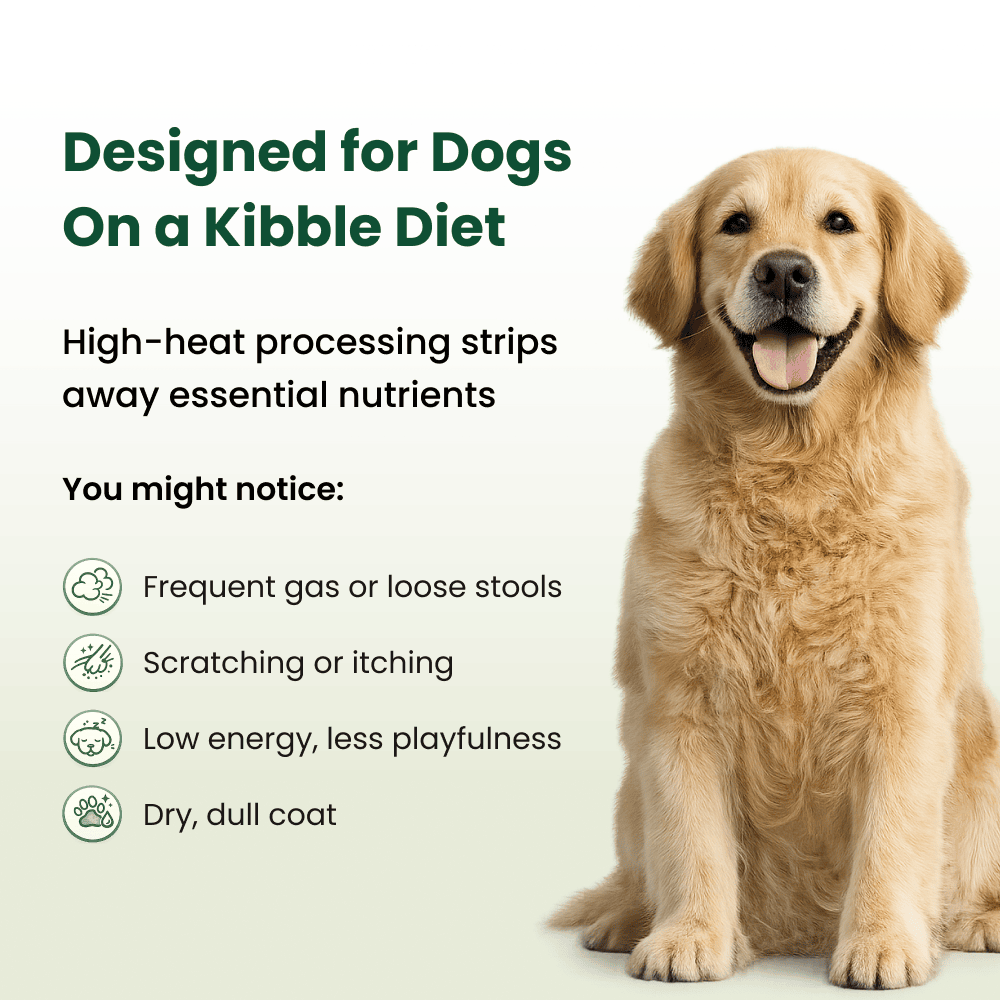 Whole-Food Greens Chews for Dogs product image 2