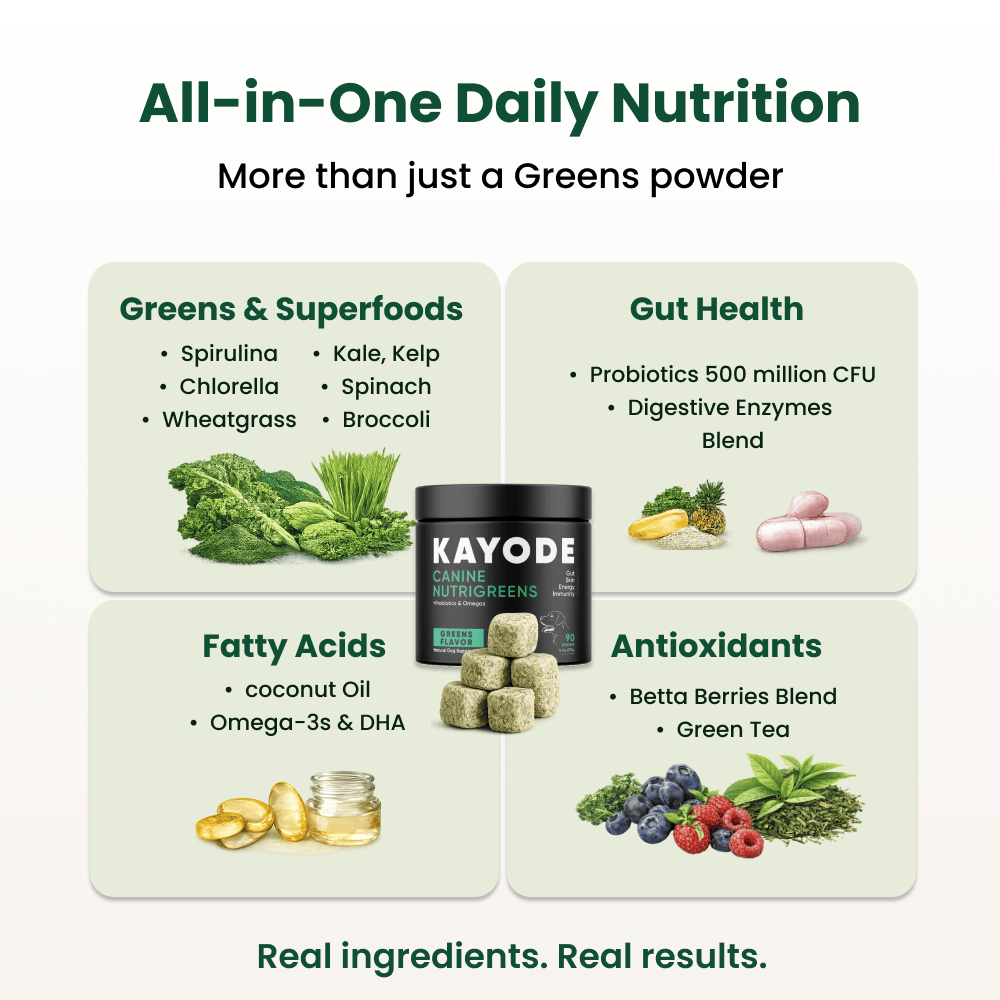 Whole-Food Greens Chews for Dogs product image 4