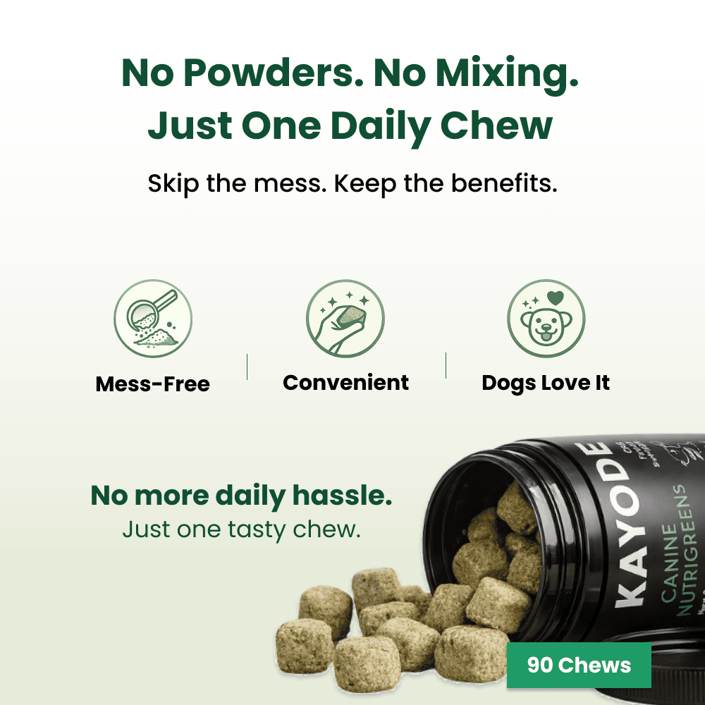 Whole-Food Greens Chews for Dogs product image 5