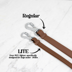 Hands-Free Dog Leash product image 8