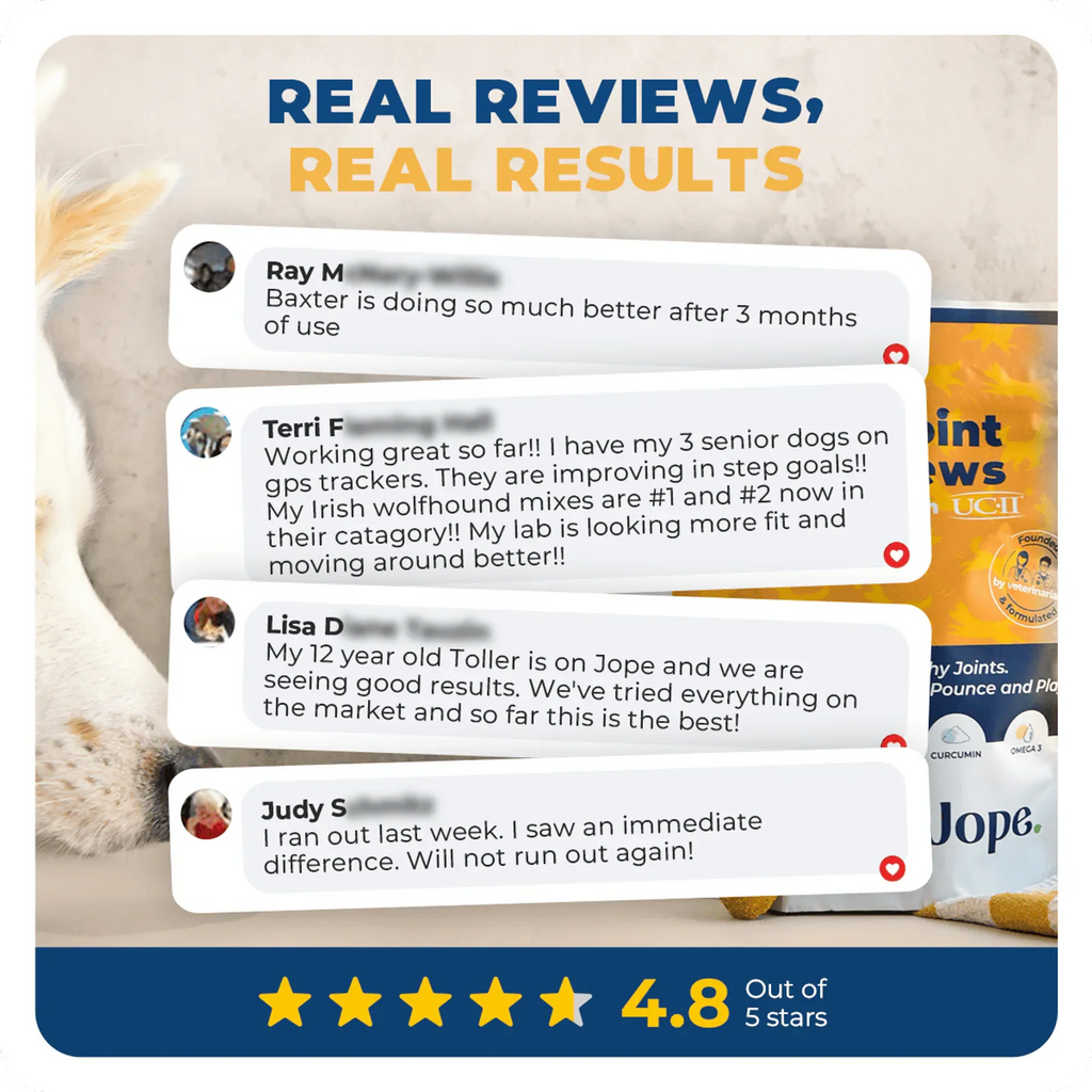 Jope Hip & Joint Supplement Review, opinion, and complaint from customers