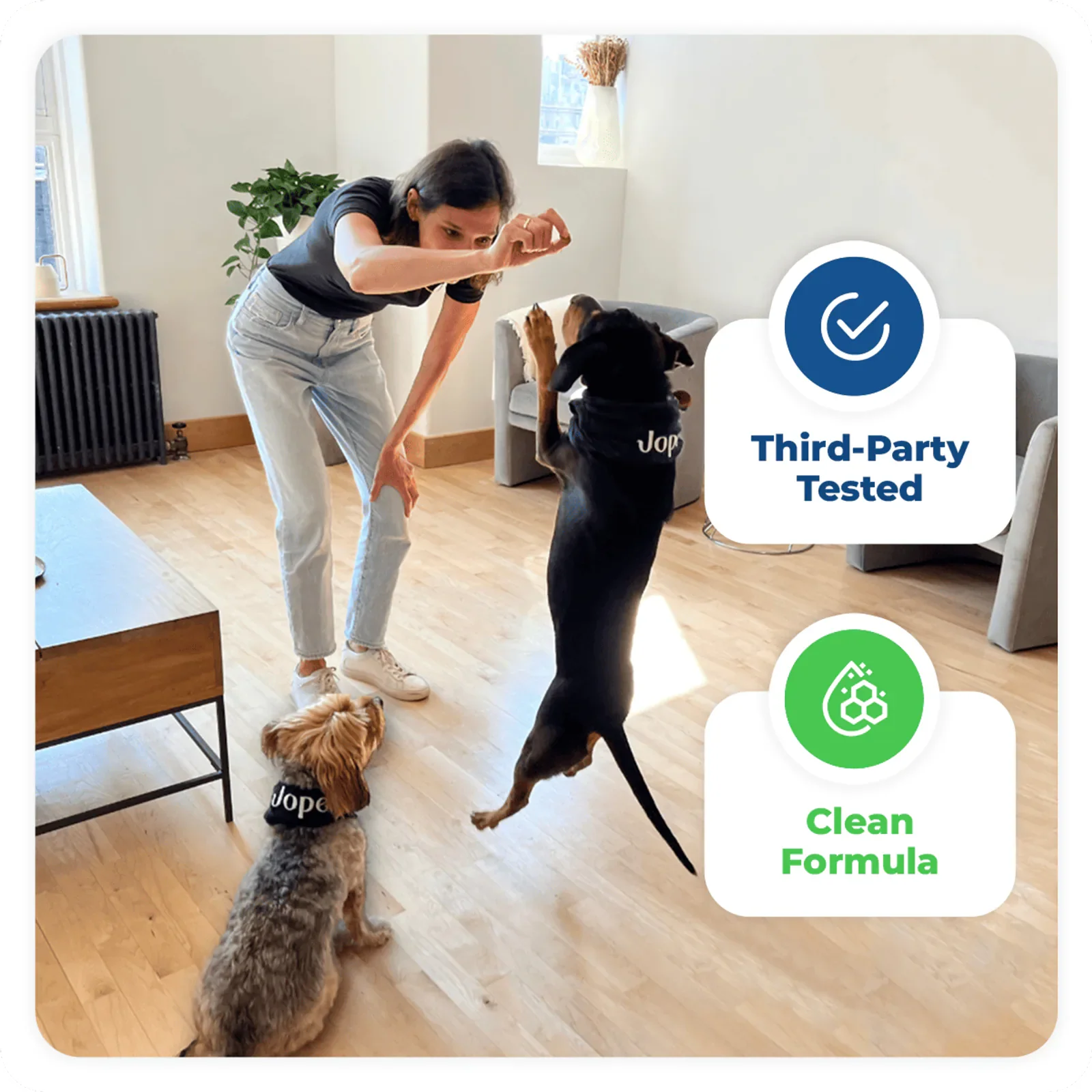 Jope is for every size of dogs and help them to stay active and healthy by protecting their joints with organic ingredients.