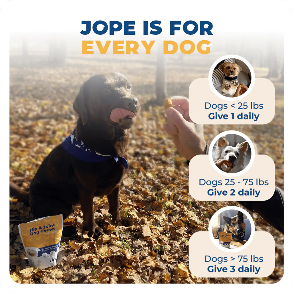 Jope Hip and Joint dog chews are for every size of dogs (french bulldog, Labrador Retrievers, French Bulldogs, Golden Retrievers, German Shepherd Dogs, Poodles, Bulldogs, Beagles, Rottweilers, Pointers - German Shorthair