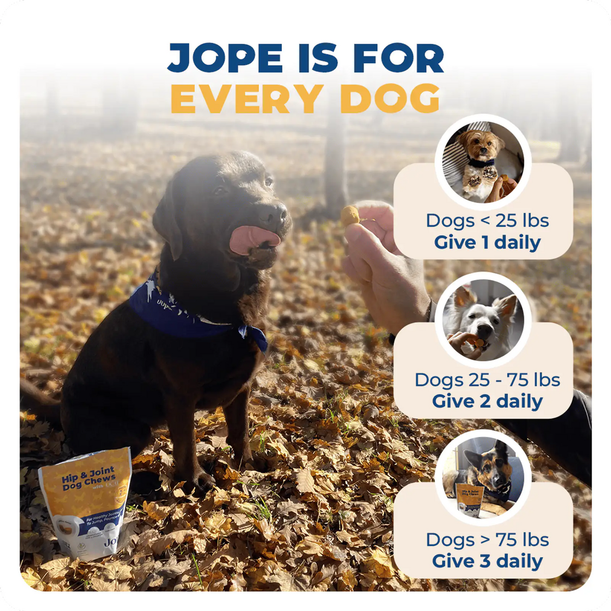 Jope Hip and Joint dog chews are for every size of dogs (french bulldog, Labrador Retrievers, French Bulldogs, Golden Retrievers, German Shepherd Dogs, Poodles, Bulldogs, Beagles, Rottweilers, Pointers - German Shorthair