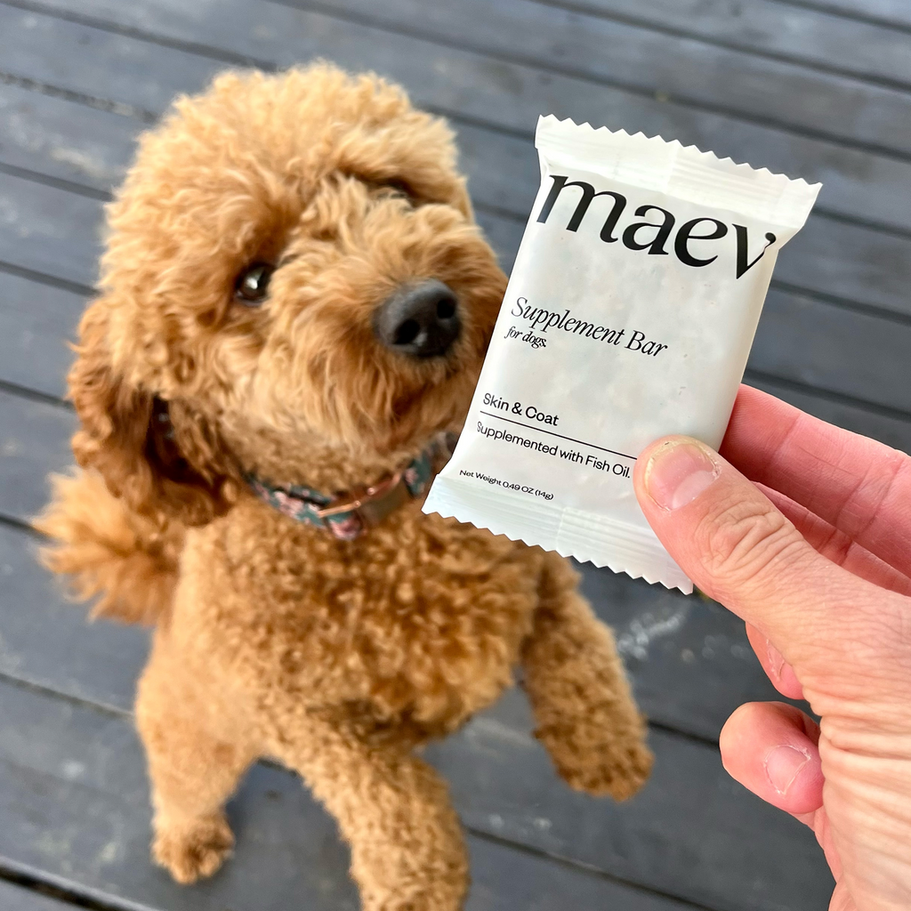 Dog Supplement Bars product image 12