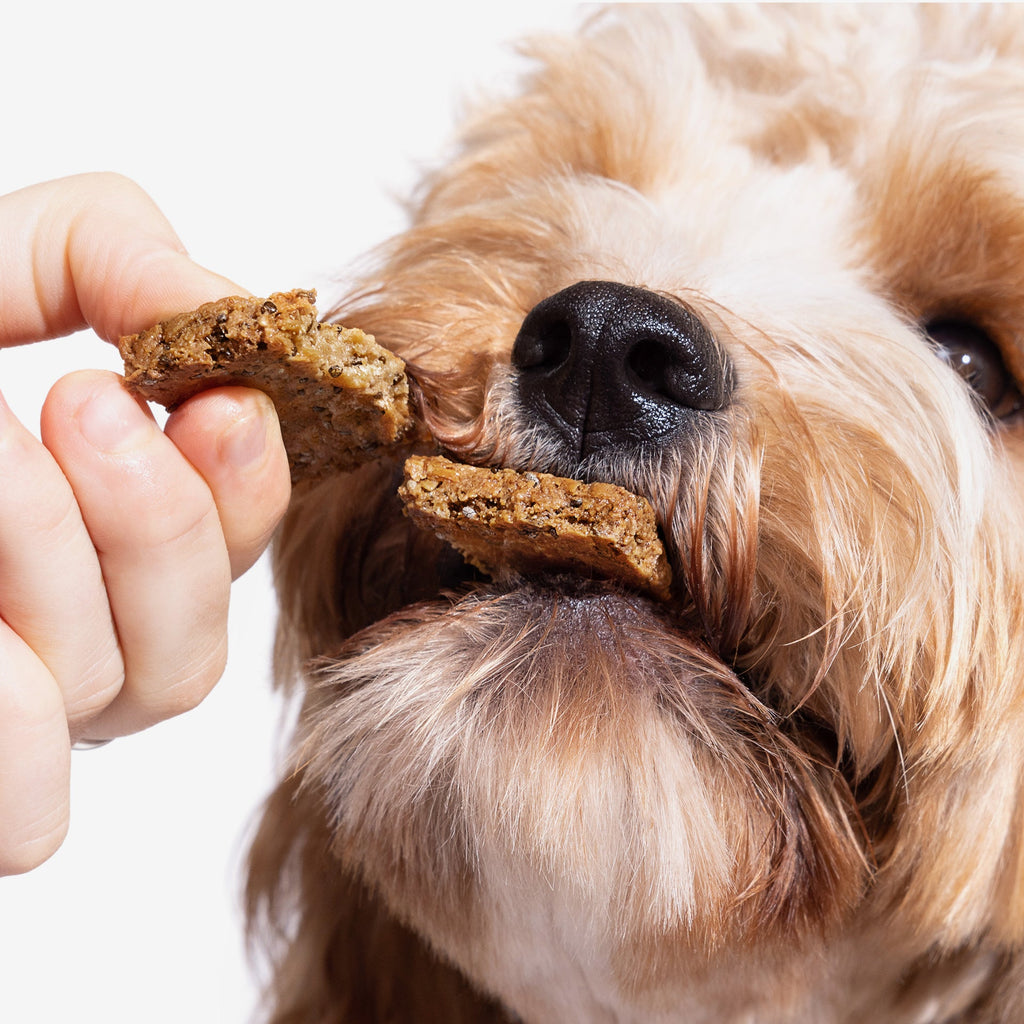 Dog Supplement Bars product image 13
