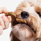 Dog Supplement Bars product image 13