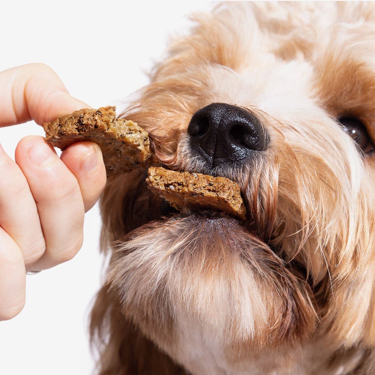 Dog Supplement Bars product image 13