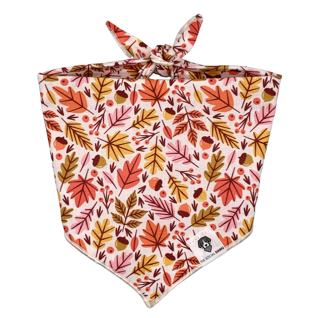 Dog Bandana product image 1
