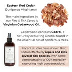 Flea and Tick Spray product image 3