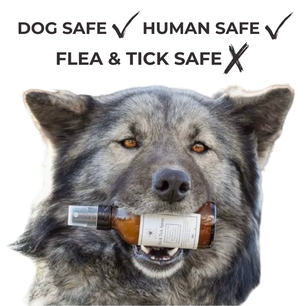 Flea and Tick Spray product image 4