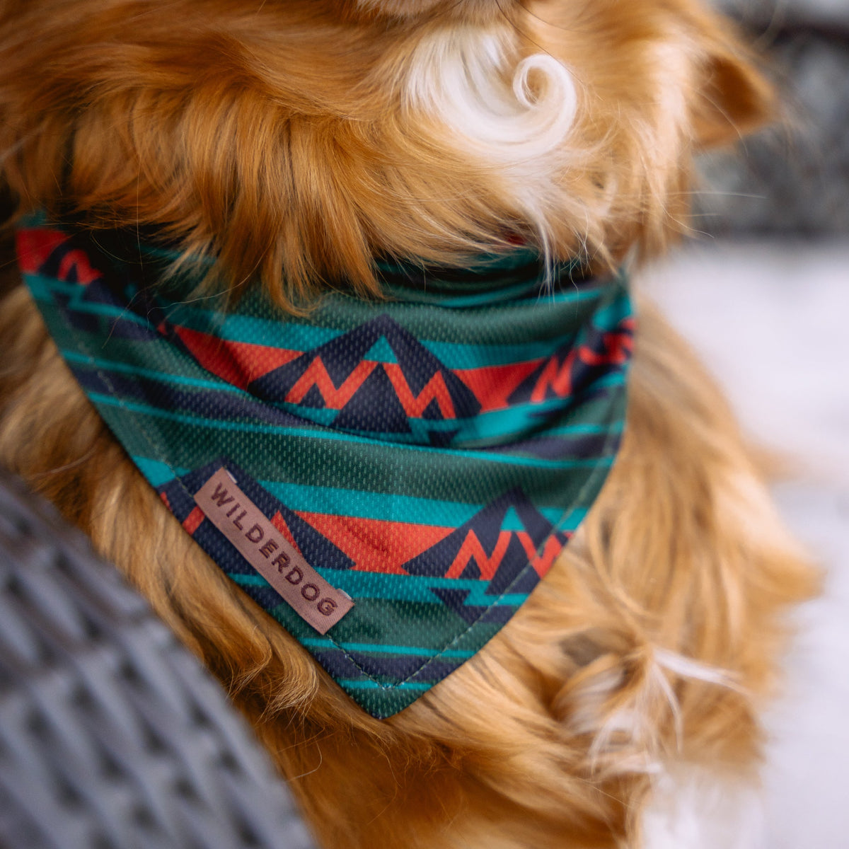 Dog Cooling Bandana product image 3