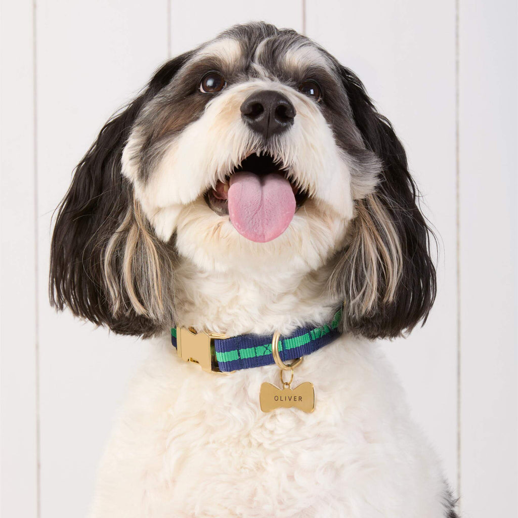 Dog Collar product image 6