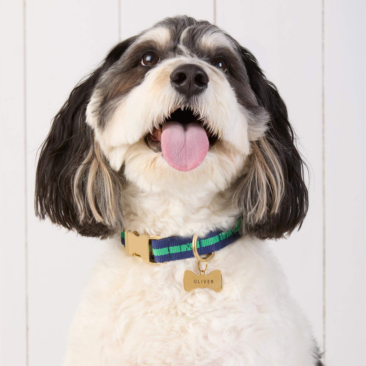 Dog Collar product image 6